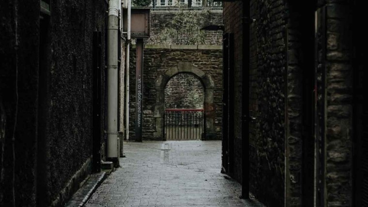 A quiet cobblestone alley adorned with vibrant street art and quaint local shops.