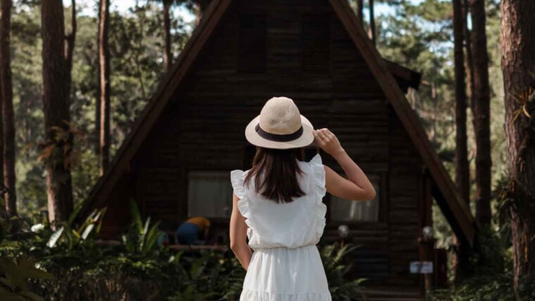 A cozy treehouse nestled among trees, showcasing unique accommodations in nature.